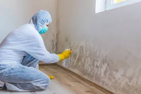 Best Mold Odor Removal Services  in Clarion, IA