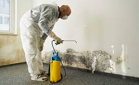 Best Commercial Mold Inspection  in Clarion, IA