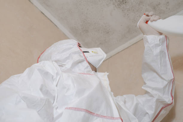 Why You Should Choose Our Mold Remediation Services in Clarion, IA